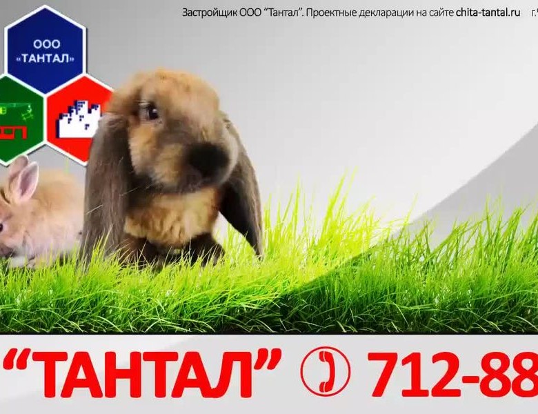 Хотите внуков? Купите детям квартиру.